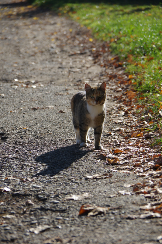 IMGP2669.JPG