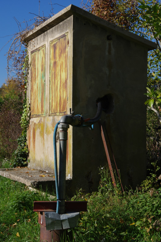 IMGP2670.JPG