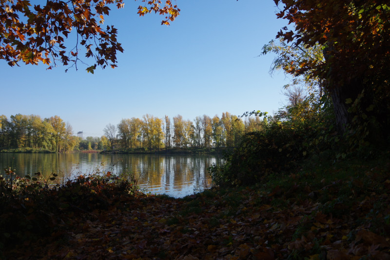 IMGP2683.JPG