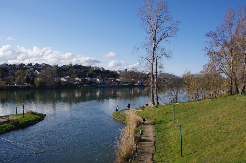 IMGP0302.JPG