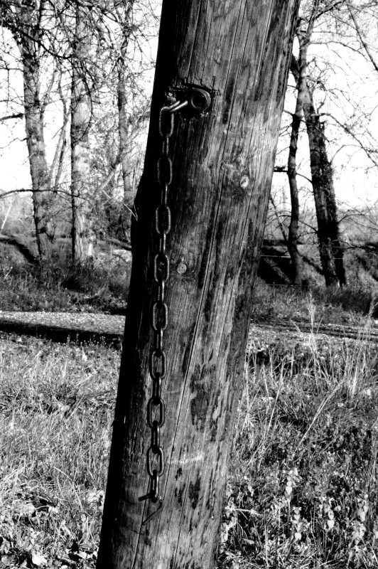 IMGP0325.JPG