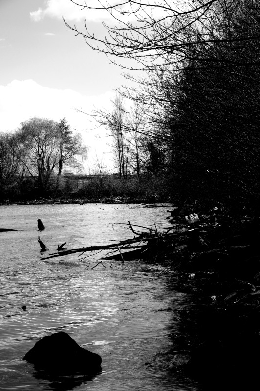 IMGP0236.JPG