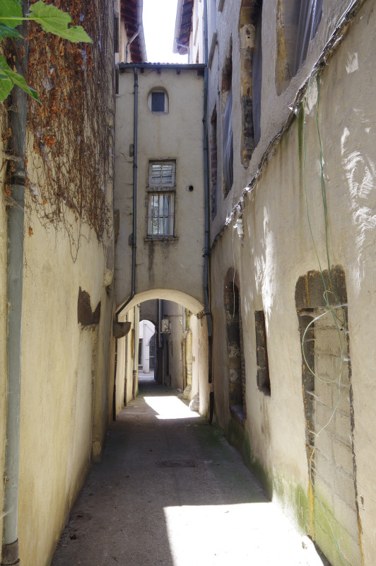 IMGP0890.JPG