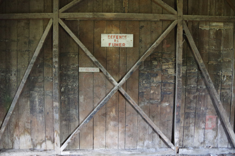 IMGP0917.JPG