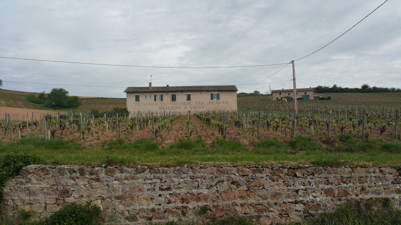 2016-05-07%2009.33.52.jpg