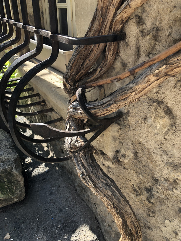 2019032820313145-IMG_3153.JPG