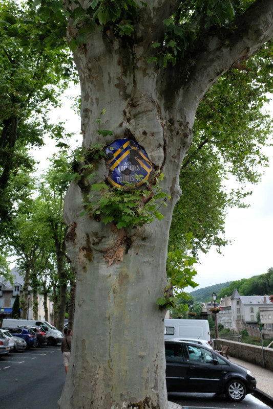 DSCF4184.JPG