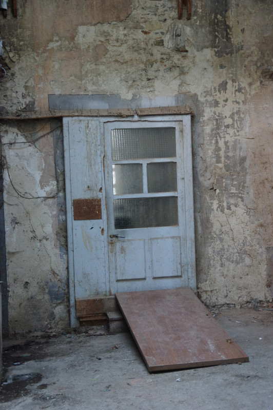 IMGP0131.JPG