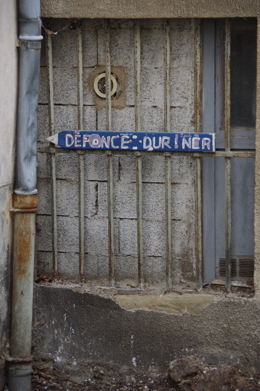 IMGP0346.JPG
