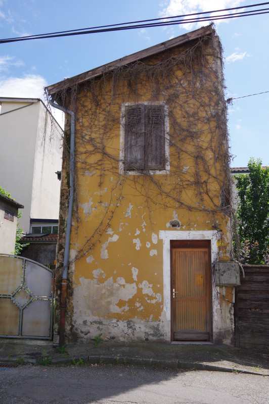 IMGP0856.JPG