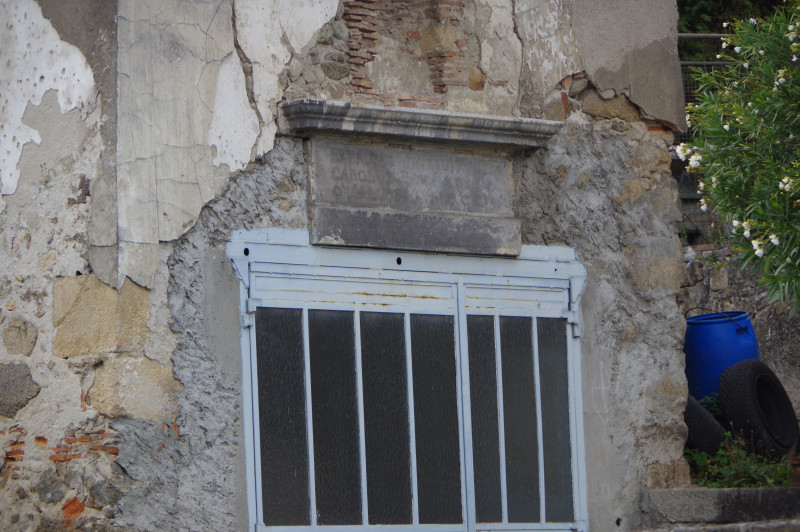 IMGP1372.JPG