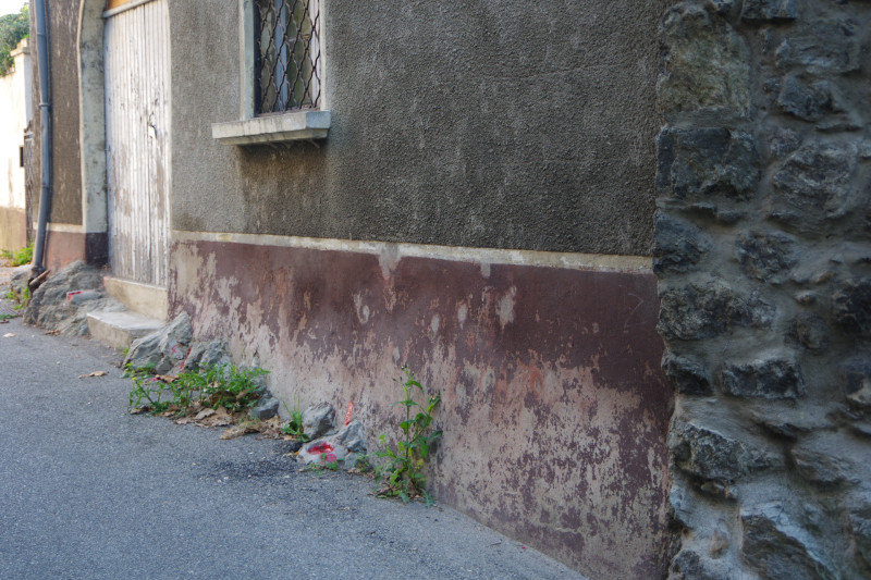 IMGP2693.JPG