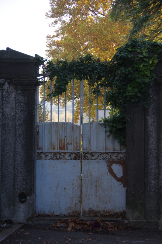 IMGP2726.JPG