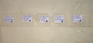 2020122118365800--329936442534581742-IMG_0205.jpg