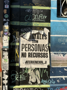 IMG_8305.JPG
