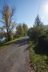 IMGP2668.JPG