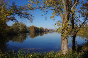 IMGP2672.JPG