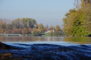 IMGP2677.JPG