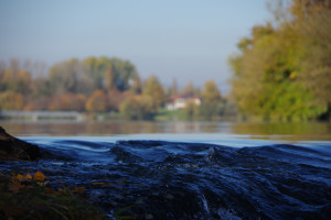 IMGP2678.JPG