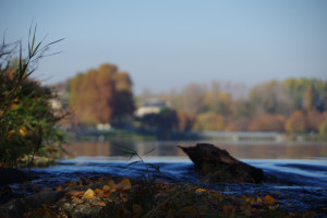 IMGP2679.JPG
