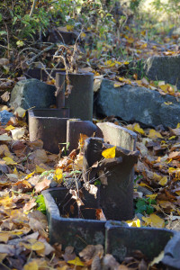 IMGP2680.JPG