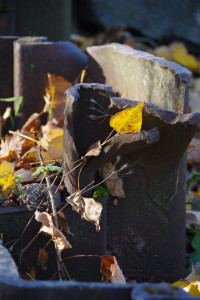 IMGP2681.JPG