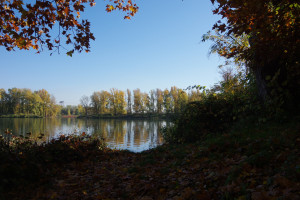 IMGP2683.JPG