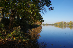 IMGP2686.JPG