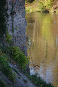 IMGP2692.JPG