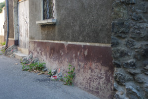 IMGP2693.JPG