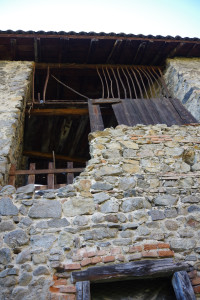 IMGP2699.JPG