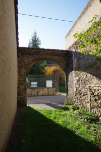 IMGP2706.JPG