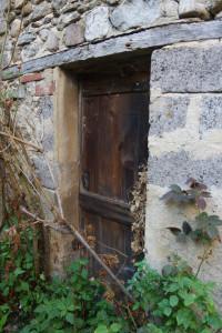 IMGP2708.JPG