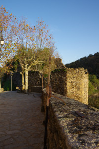 IMGP2791.jpg