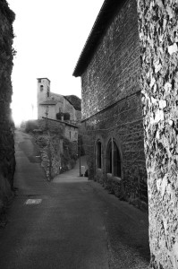 IMGP2796.jpg