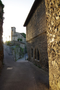 IMGP2797.jpg
