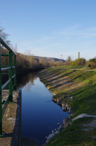 IMGP0289.JPG