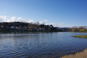 IMGP0300.JPG