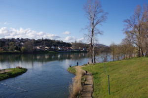 IMGP0302.JPG