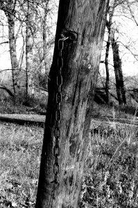IMGP0325.JPG
