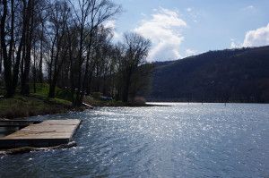 IMGP0214.JPG