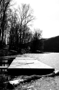 IMGP0215.JPG