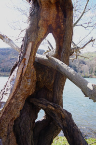 IMGP0227.JPG
