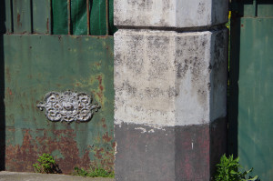 IMGP0421.JPG
