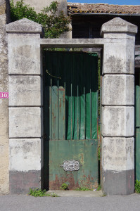 IMGP0422.JPG