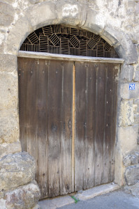IMGP0443.JPG
