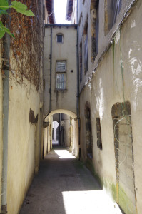 IMGP0890.JPG