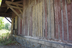 IMGP0915.JPG