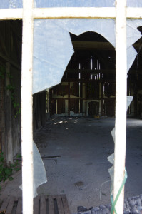 IMGP0916.JPG