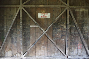 IMGP0917.JPG